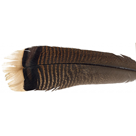 feather-craft FEATHER-CRAFT Large Wild Turkey Tail Feathers
