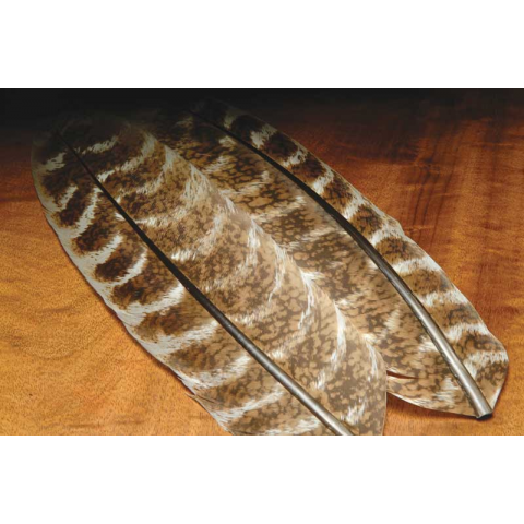 feather-craft OZARK Oak Mottled Wild Turkey Wing Quills