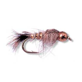 BH Gold Ribbed Hares Ear