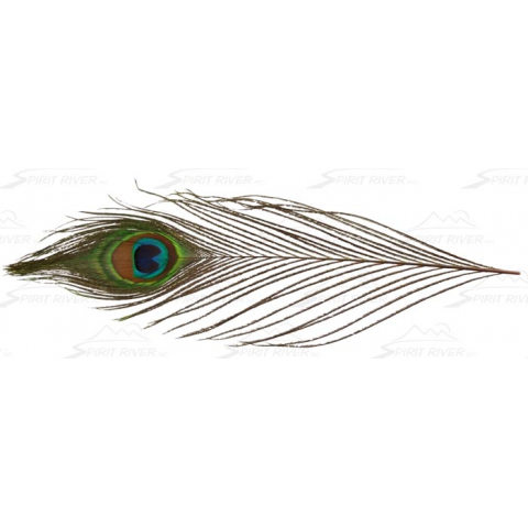 UV2 Peacock Eyes