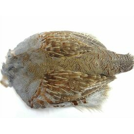 Pen Raised #1 Hungarian Partridge Skin With Wings