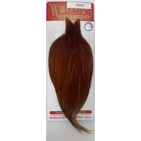 whiting WHITING SILVER CAPE BROWN (#10-24)