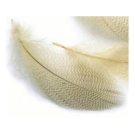 feather-craft Natural mallard flank