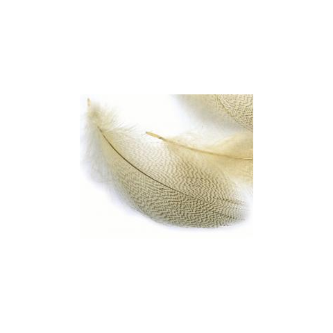 feather-craft Natural mallard flank