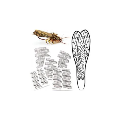 PRO Adult Stonefly Wing