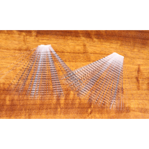 Barred Mayfly Tails