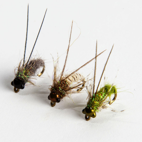 Tungsten Bead head Caddis pupa nymph pack of 5 trout flies