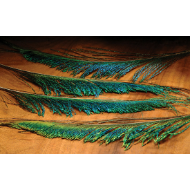 wapsi Peacock Swords