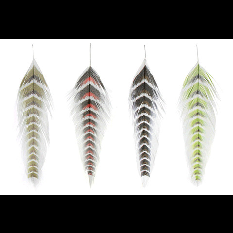 Montana Fly Co MFC Galloup's Fish Feathers - Grizzled