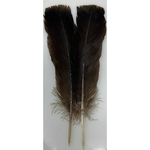 hareline Cinnamon Tip Turkey Tail Feathers