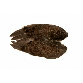 English Grouse Wings