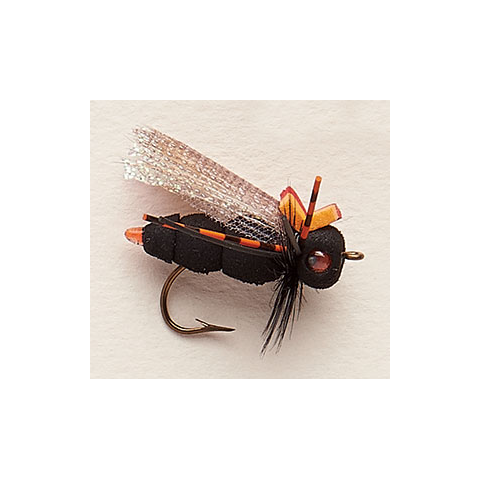 RAINY'S Ultimate Cicada