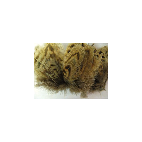 feather-craft Hen Pheasant Body Feathers